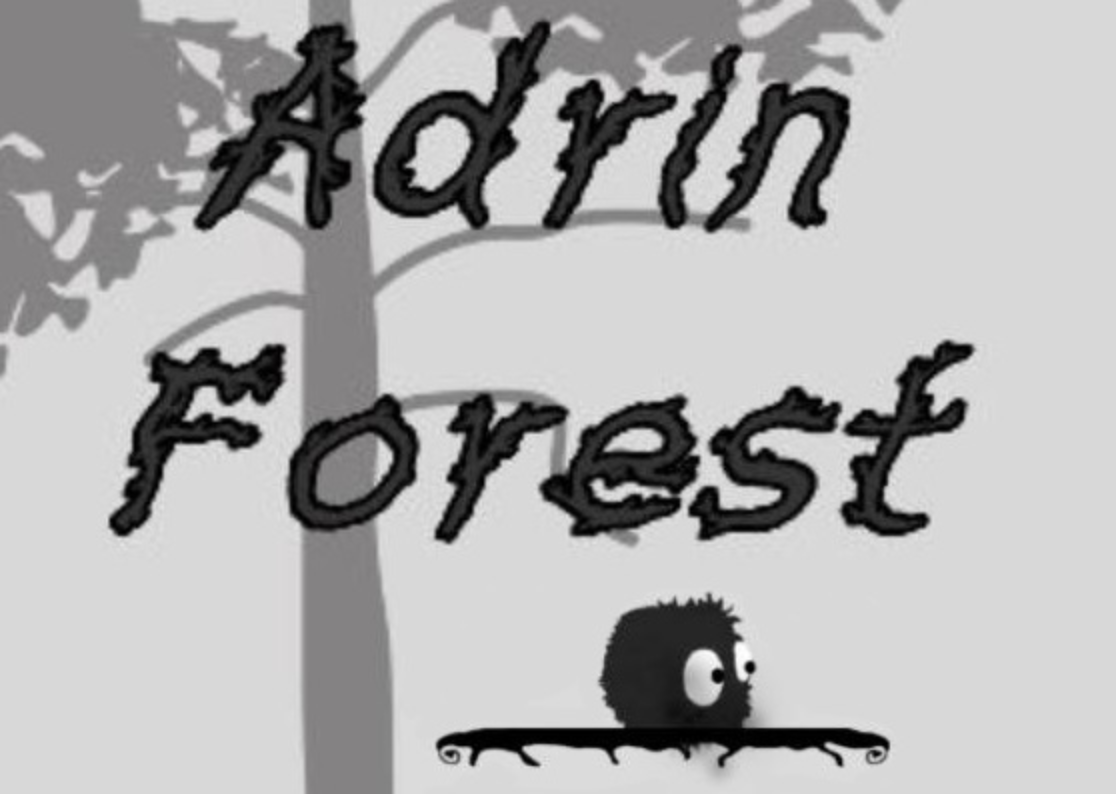 Adrin Forest